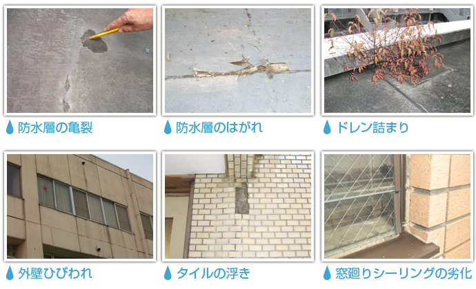 防水層の亀裂・外壁ひびわれなどの劣化事例